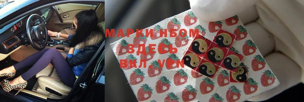 шишки Аркадак