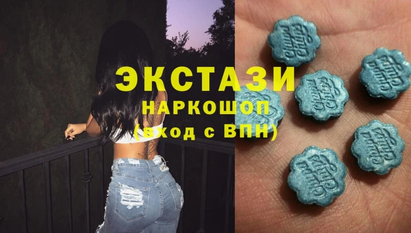 шишки Аркадак
