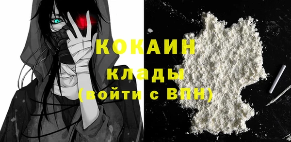 шишки Аркадак